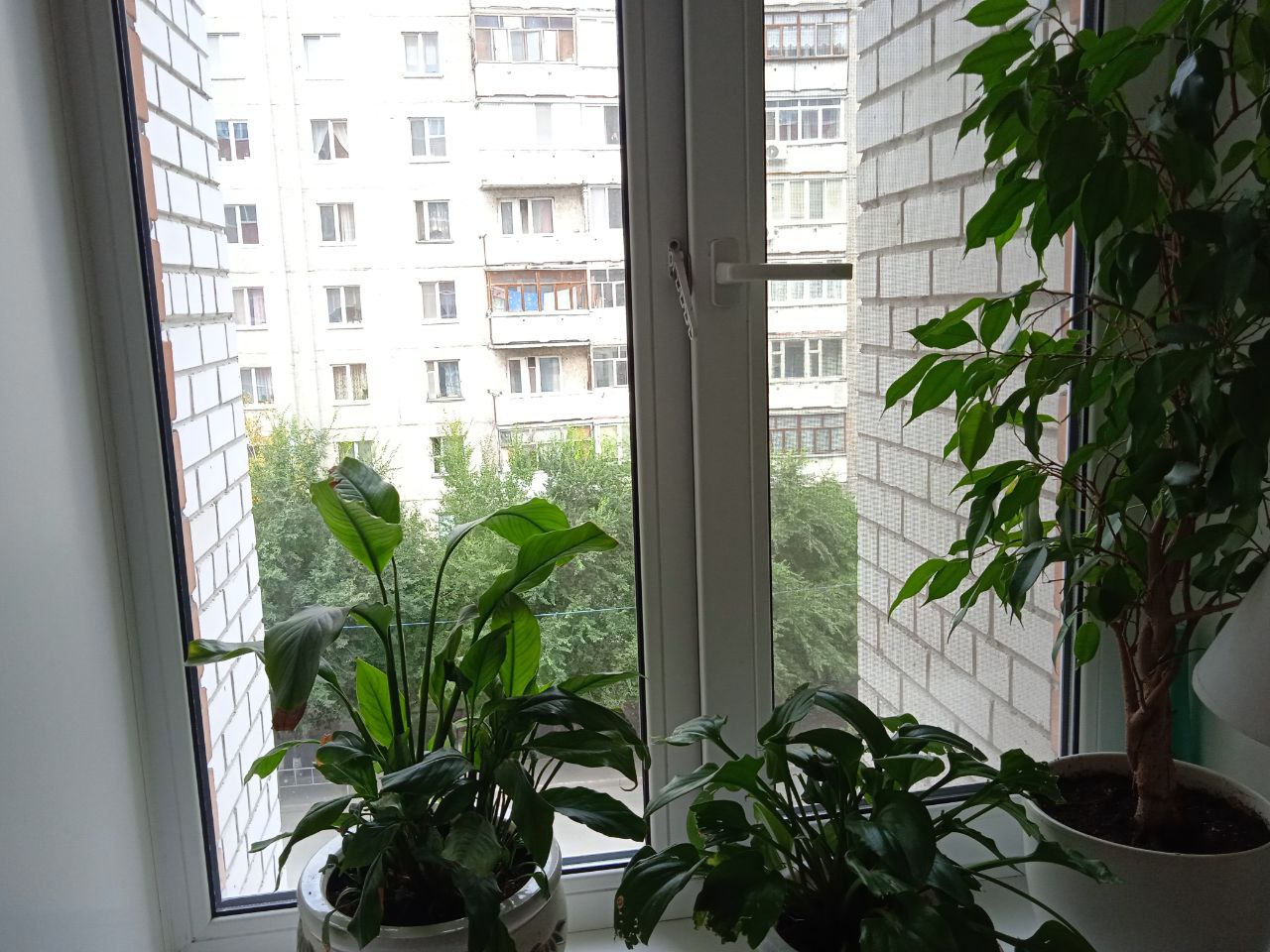 https://nizhnevartovsk.delaem-okna.ru/storage/app/uploads/public/63f/332/8c0/63f3328c0d6f7867060515.jpg